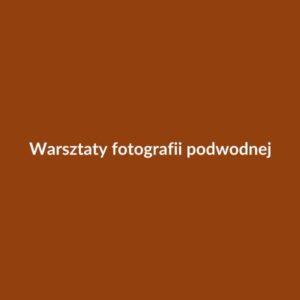 Warsztaty fotografii podwodnej
