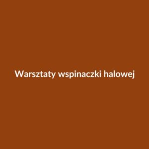 Warsztaty wspinaczki halowej — technika zaawansowana