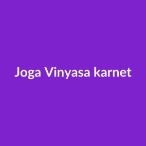 Joga Vinyasa — karnet 10 zajęć