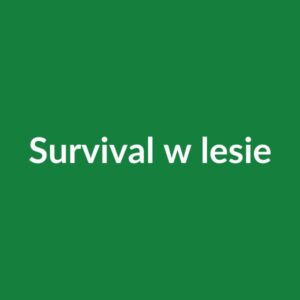 Survival w lesie — 1 dzień